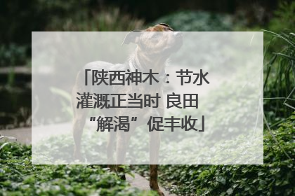 陕西神木：节水灌溉正当时 良田“解渴”促丰收